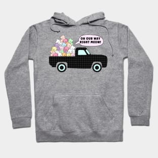 Kittens Road Trip - Pile of Cute Pastel Cats on a Truck - On our Way Right Meow Hoodie